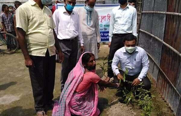 বালিয়াডাঙ্গী গুচ্ছগ্রামে বন্ধু চুলা স্থাপন ও গাছের চারা বিতরণ