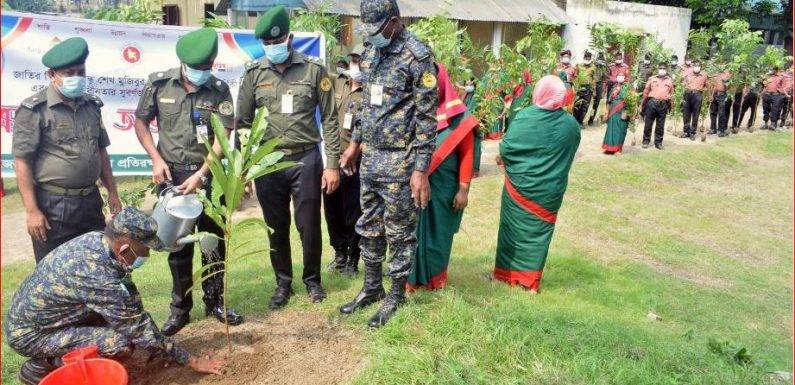 মহান স্বাধীনতার সুবর্ণজয়ন্তী উদযাপন উপলক্ষে জেলা আনসার ভিডিপি’র উদ্যোগে ২হাজার ৩০৬টি গ্রামে বৃক্ষের চারা বিতরণ