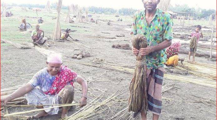 তেঁতুলিয়ায় সোনালী আঁশ পাট কাটা-ধোয়ায় কাজে ব্যস্ত কৃষাণ-কৃষাণীরা