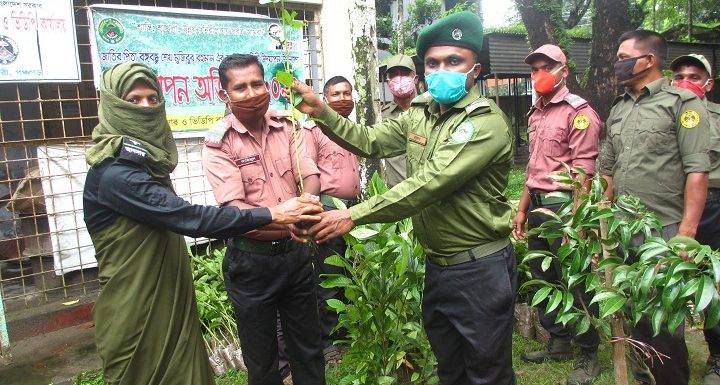 আটোয়ারীতে মুজিব বর্ষ উপলক্ষে আনসার ভিডিপি’র বৃক্ষ রোপন অভিযান