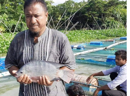 সংকটে চাঁদপুরের ভাসমান খাঁচায় মাছ চাষিরা