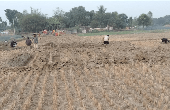 পীরগঞ্জে ফসলী জমিতে আবাসন প্রকল্প বন্ধে গন আবেদন