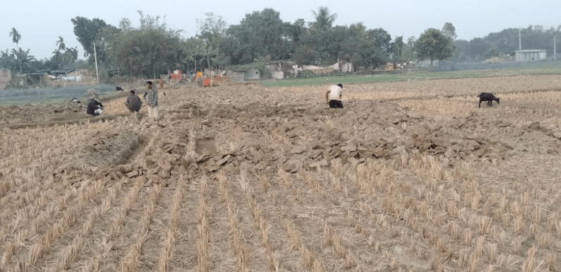 পীরগঞ্জে ফসলী জমিতে আবাসন প্রকল্প বন্ধে গন আবেদন