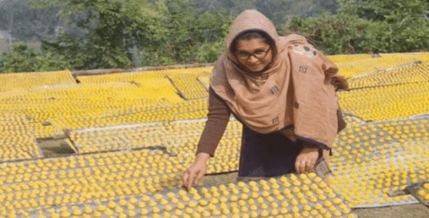 স্বাদে অতুলনীয় সিরাজগঞ্জের কুমড়ো বড়ি