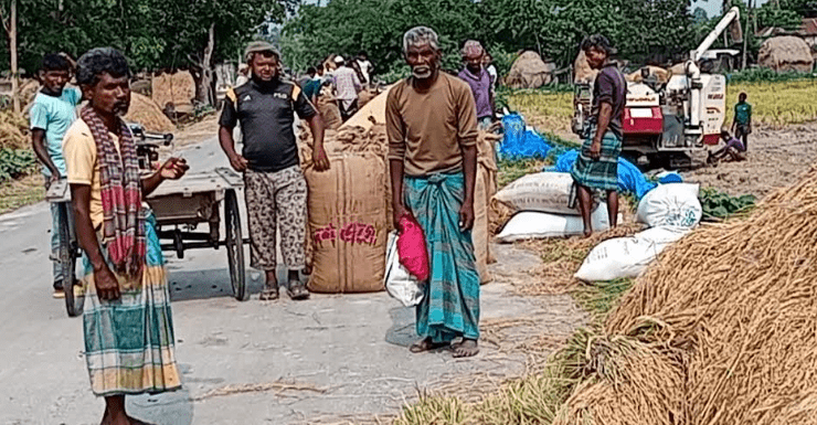 সড়কে ধান মাড়াই,বিড়াম্বনায় পথচারিরা